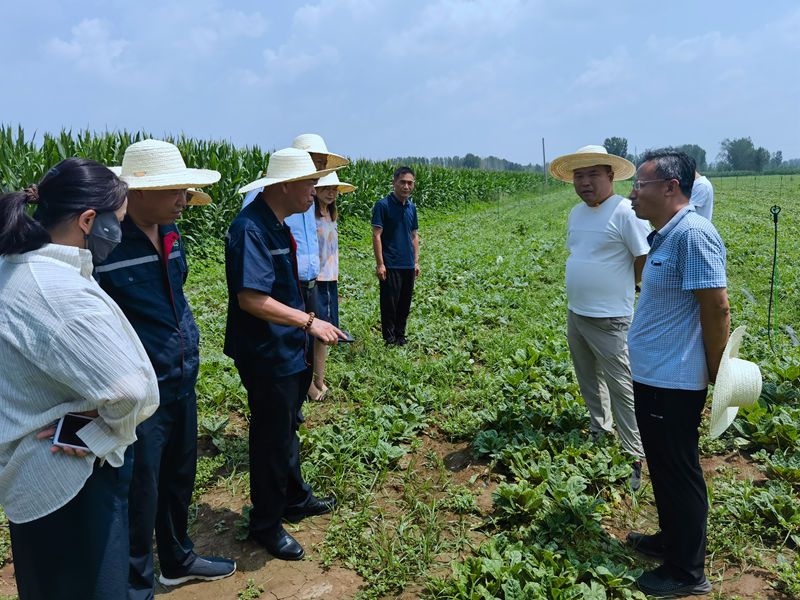 安邁康農(nóng)業(yè)科技集團(tuán)來公司考察項(xiàng)目